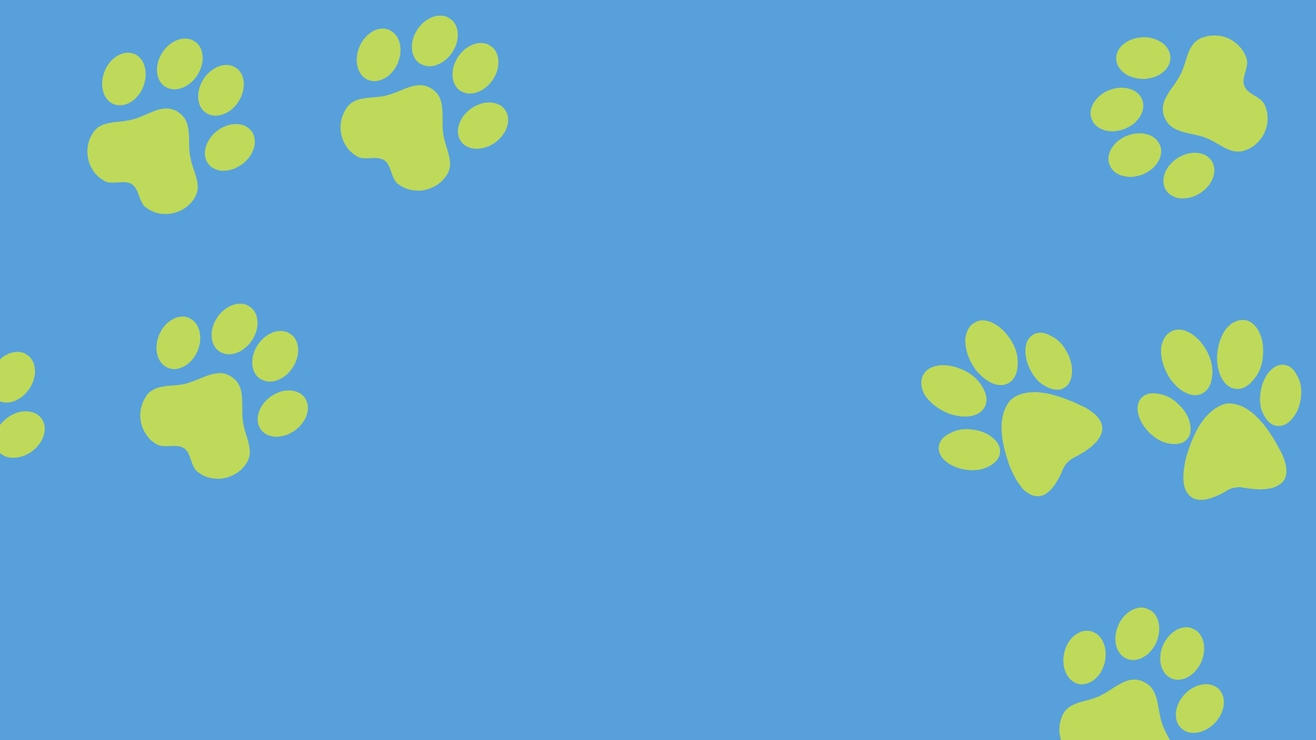 Paw Background - Allpets Paremata